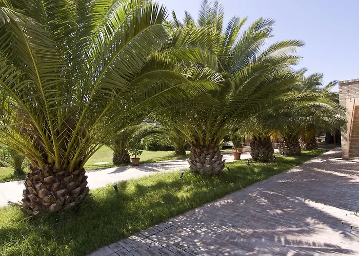 Finis Africae סניגליה