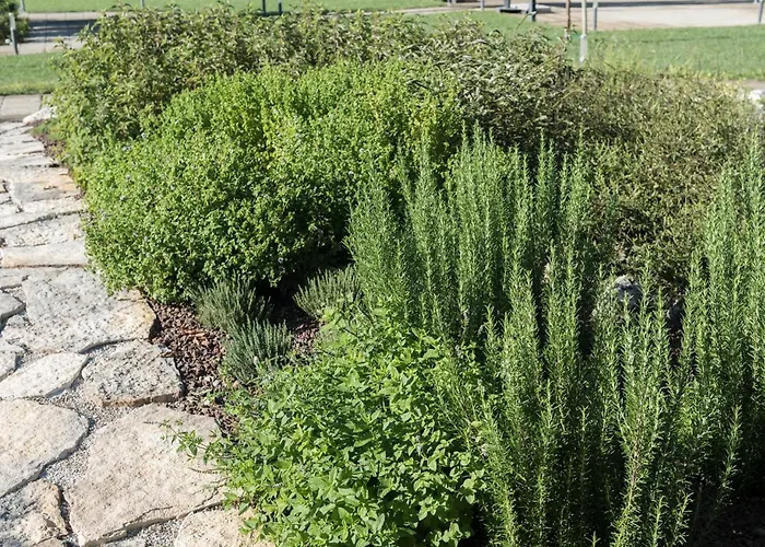 Finis Africae * סניגליה